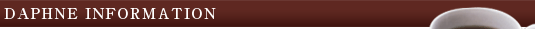 DAPHNE INFORMATION�y���m�����É��s�ł̋i���X�̊J�Ƃ��x�����܂��z